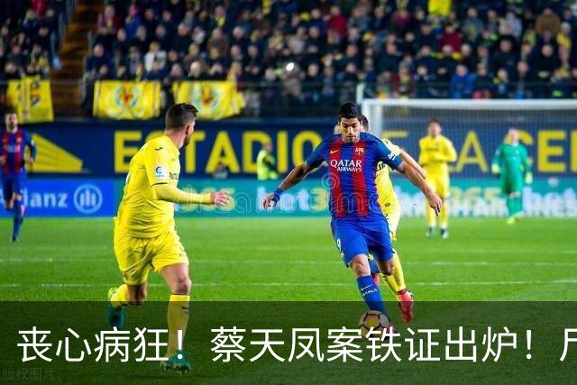 丧心病狂！蔡天凤案铁证出炉！尸体装俩箱子，躯干双手至今无踪影