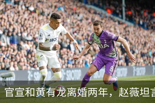 官宣和黄有龙离婚两年，赵薇坦言心头大患，幸亏有个男人给她撑腰