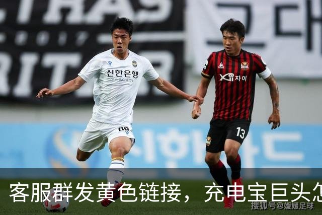 客服群发黄色链接，充电宝巨头怎么了？
