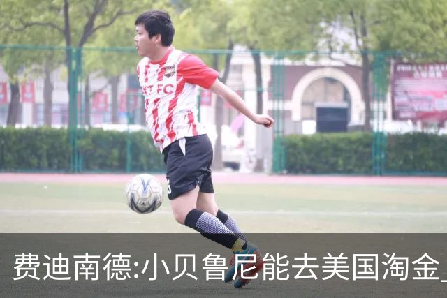 费迪南德:小贝鲁尼能去美国淘金 C罗也可以去沙特